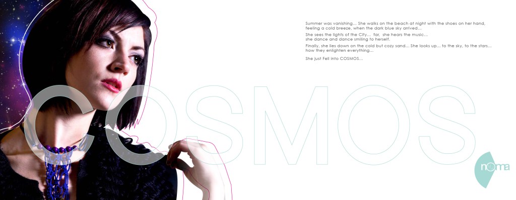 Cosmos_catalog_My_noma_2011_pqge_2
